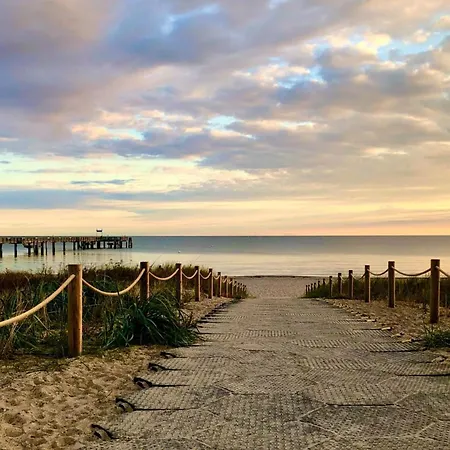 Strandflieder 210 Boltenhagen (Ostseebad)