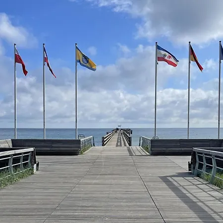 Strandflieder 210 *