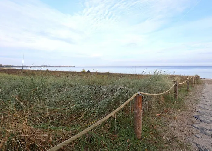 Strandflieder 210 *